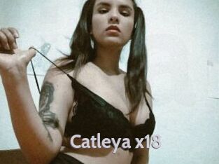 Catleya_x18