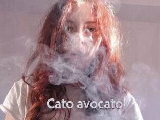 Cato_avocato