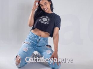 Cattaleyakane