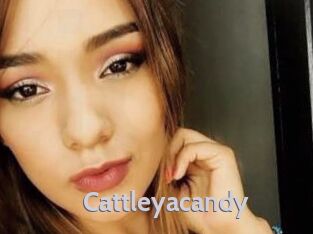 cattleyacandy Live Cam 66
