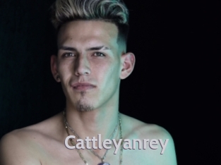 cattleyanrey Live Cam 66