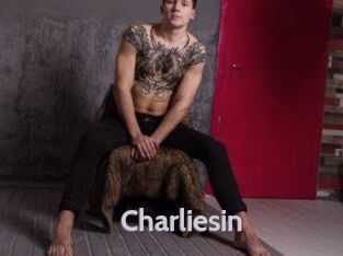 charliesin Live Cam 66
