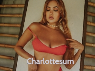 charlottesum Live Cam 66