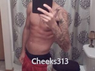 cheeks313 Live Cam 66