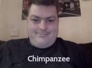 Chimpanzee