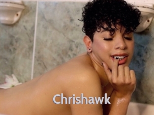 chrishawk Live Cam 66