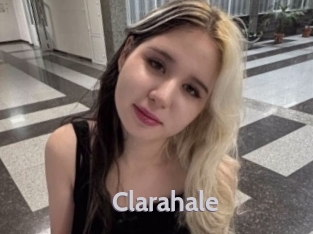 clarahale Live Cam 66