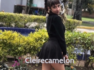 Cleirecamelon
