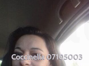 Coccinella-07105003