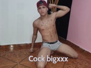 Cock_bigxxx