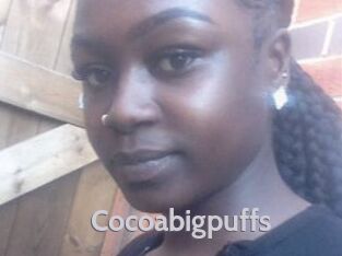 Cocoabigpuffs