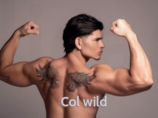 col_wild Live Cam 66