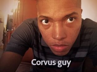 Corvus_guy