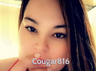 cougar816 Live Cam 66