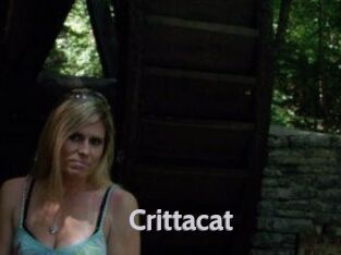 Crittacat
