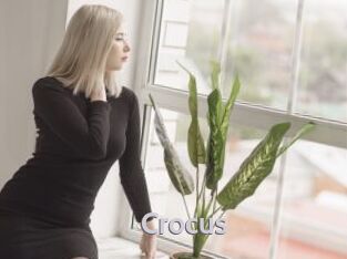 Crocus