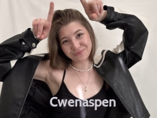 cwenaspen Live Cam 66