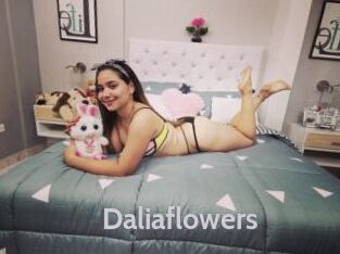 Daliaflowers