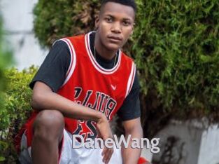 DaneWang