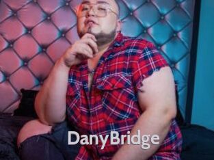 DanyBridge