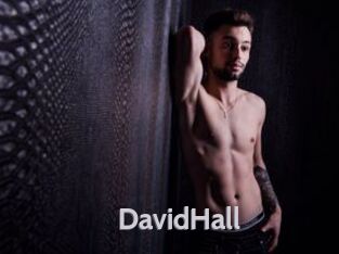 DavidHall