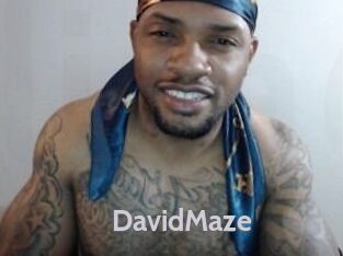 David_Maze