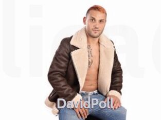 DavidPoll