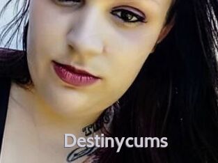Destinycums Live Cam 66