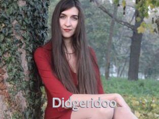 Didgeridoo