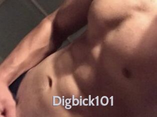 Digbick101