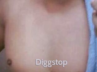 Diggstop