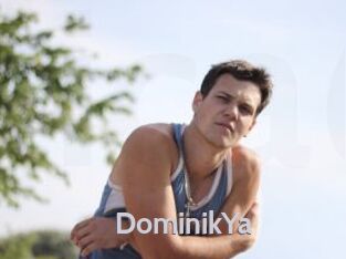 DominikYa