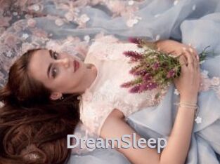 DreamSleep