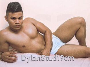 DylanStud19cm