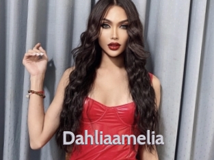 Dahliaamelia
