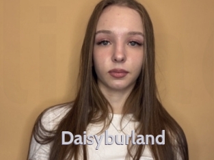 Daisyburland