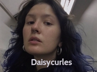 Daisycurles