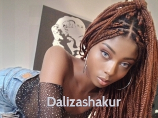 dalizashakur Live Cam 66