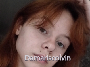 Damariscolvin