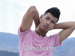 Damnfoxter