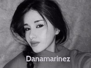Danamarinez
