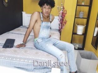 Danii_steel