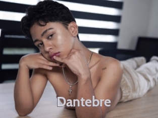 dantebre Live Cam 66