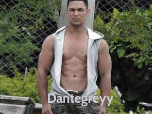 Dantegreyy