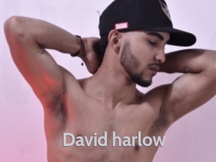david_harlow Live Cam 66