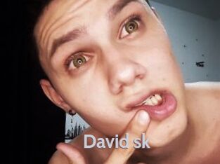 David_sk