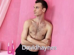 Davidhaynes