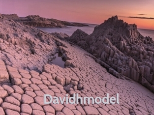 davidhmodel Live Cam 66