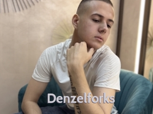 denzelforks Live Cam 66
