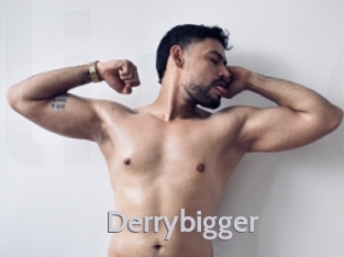 derrybigger Live Cam 66